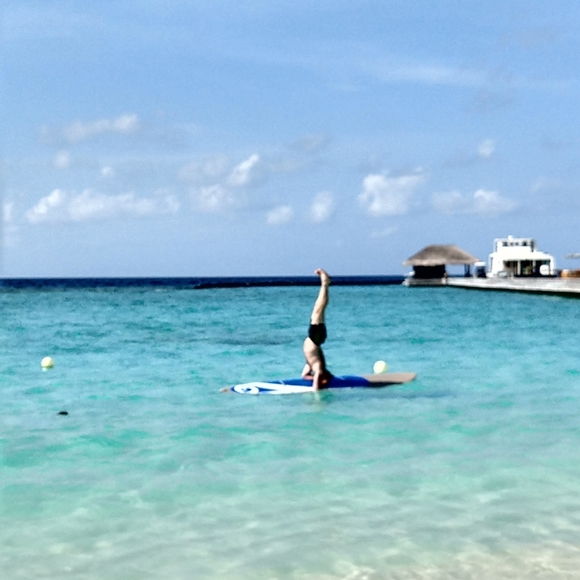 Meet your Posher, Sydney - Picture 1 of 1